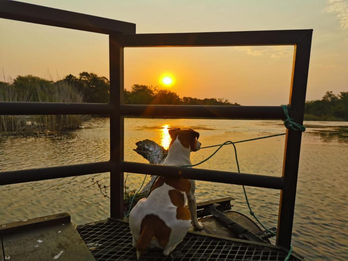 Hippo Retreat & Tiger Fishing Komatipoort Exterior foto